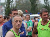 IFF 2014 - 009.jpg